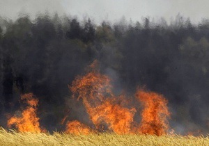 Крупный пожар в Днепропетровской области: против директора лесхоза возбуждено уголовное дело