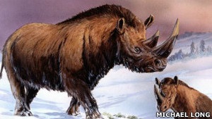 На Колыме вскрыли причины гибели шерстистых носорогов