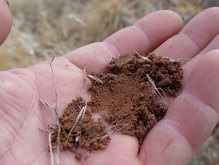 В Японии создана искусственная почва