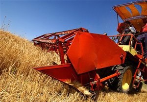 Эксперты считают, что украинские фермеры должны продавать зерно без посредников