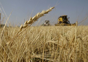 Кабмин намерен сдержать падение цен на зерно