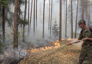 В результате возгорания леса в Херсонской области пострадали два спасателя и три работника лесхоза