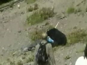 Медведь атаковал группу туристов на автобусной остановке в Японии