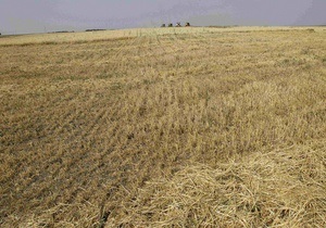 Украина планирует увеличить экспорт зерна вдвое