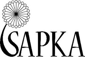 Sapka - соревнование для настоящих программистов