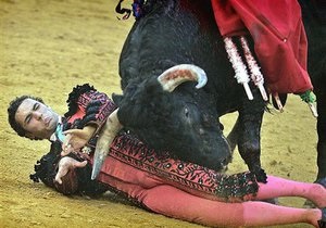 В Мексике арестовали матадора, который испугался быка