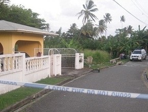 Кровопролитие в раю: на пожилую британскую пару в их доме на Карибах напали неизвестные с мачете