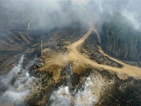 Жертвами лесных пожаров в Австралии стал 181 человек