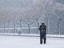 Снегопады в Японии парализовали Токио