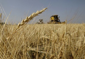 В России погибла четверть посевов зерновых