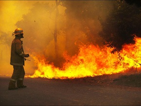 В австралийском штате Виктория из-за лесных пожаров погибли 14 человек