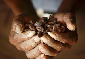 Мир ожидает дефицит шоколада - эксперты