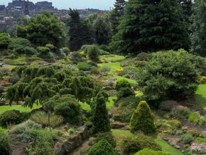 Финансовый кризис: Легко ли быть садовником?