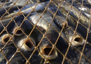 В Луганской области борцы с браконьерами передали детской больнице 105 кг рыбы