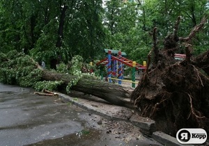В Киеве ураган сломал около сотни деревьев