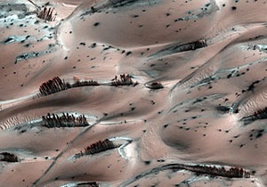 Специалисты NASA обнаружили на Марсе песчаные  деревья 