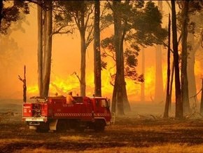 Австралия в огне: число жертв быстро растет