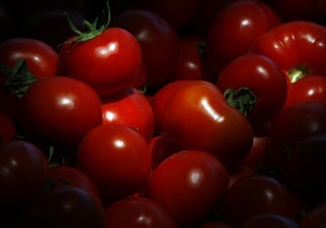 Индийские ученые вывели помидоры, которые сохраняют товарный вид 45 дней