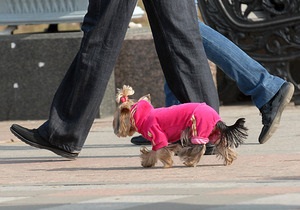Прогноз погоды на вторник, 13 апреля