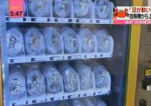 В Китае установили автоматы по продаже живых крабов