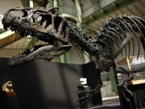 Палеонтологи исследовали каннибализм у динозавров