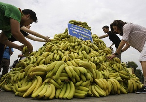 Бананы и маниока могут занять место пшеницы и риса