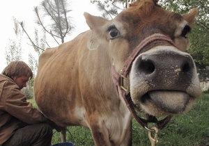 В Николаевской области корова напала на хозяина, мужчина погиб