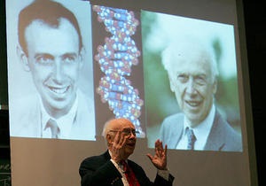 ДНК - открытие ДНК - Уотсон и Крик: 60 лет назад журнал Nature сообщил об открытии структуры ДНК