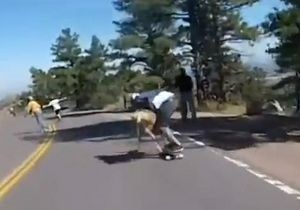 В США участник гонки скейтеров на скорости врезался в оленя