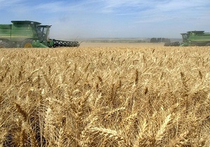 Сельхозпроизводство в Украине в 2012 году сократилось на 4,5% - Госстат - пшеница - ячмень - овес