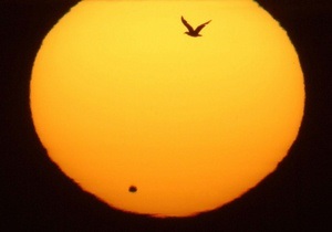 В Нью-Йорке установили телескопы для наблюдения за транзитом Венеры по диску Солнца
