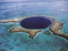 В Большом Барьерном рифе обнаружили неизвестные организмы