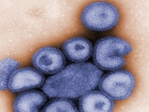 В Украине подтверждено 13 случаев заболевания гриппом А/H1N1