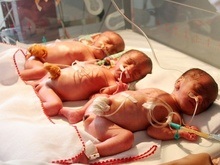 В США родилась тройня однояйцевых близнецов из пробирки