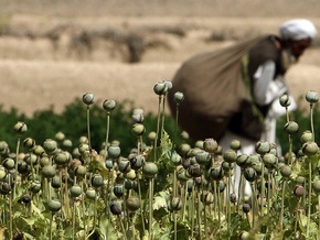 В Афганистане сожгли на костре девять тонн наркотиков