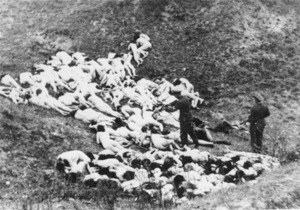 В Киеве пройдет выставка Холокост от пуль: массовые расстрелы евреев в Украине 1941-1944