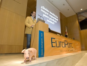 Последствия вспышки A/H1N1 обсудят на конгрессе по вопросам свинины в Испании
