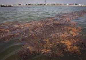 Ежедневно в Мексиканский залив вытекало до 40 тыс. баррелей нефти