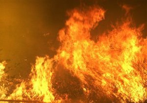 В Черниговской области в результате пожаров погибли два человека