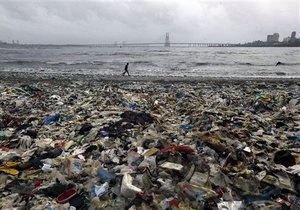 Пластиковый мусор в море аккумулирует яды