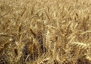 Янукович подписал закон о введении 9-14% пошлин на экспорт зерна