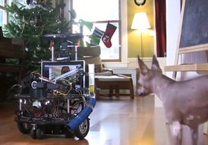 Инженер Microsoft построил робота для игры со своей собакой