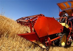 Россия может ввести ограничения на экспорт зерна