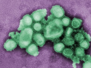 Генассамблея ООН проведет заседание, посвященное проблеме гриппа A/H1N1