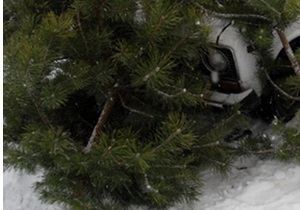 Возле Одесской облпрокуратуры установили украшенную колючей проволокой елку