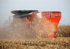 Урожай зерновых в Украине в 2011 году составит более 42 млн тонн - Минагропрод