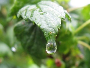 Прогноз погоды на четверг, 3 сентября