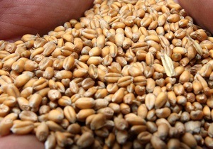 Украина в январе увеличила экспорт зерновых в Египет почти в 25 раз