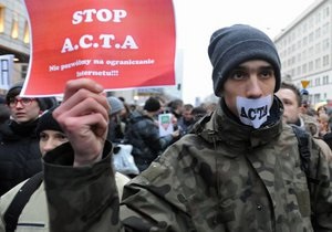 Влада Чехії призупинила ратифікацію антипіратського закону