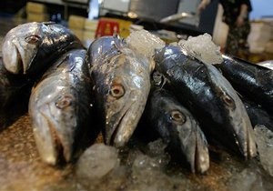 Азаров: Рівень життя в Україні піднімається. Потрібно закуповувати більше морепродуктів